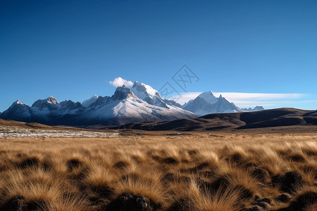 西藏唯美雪山风景背景图片