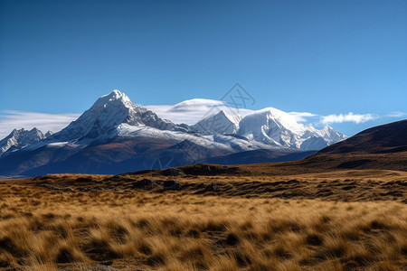 西藏的冰山图片