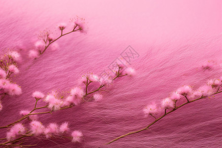 毛茸茸粉色小花图片