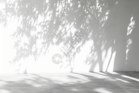 凉庭墙上的树影子背景
