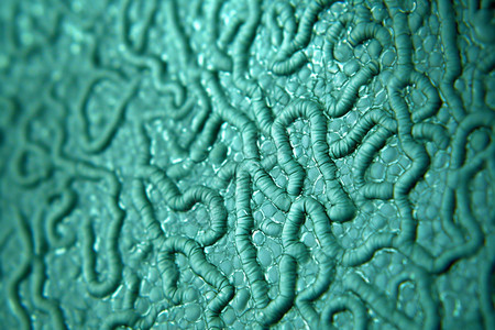 洋葱表皮细胞显微镜下的气泡涟背景
