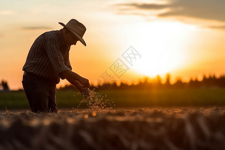 日落在田间干活的老人图片