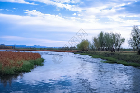 湿地公园和河流图片