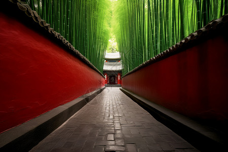 寺庙里的红色围墙的小道背景图片