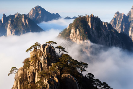 山峰上的松树和岩石图片