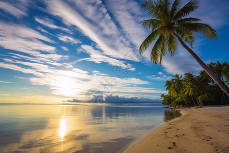 热带的海滩和椰子树图片