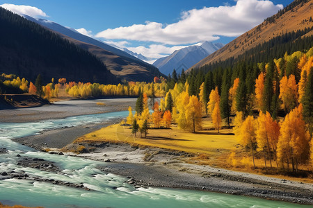 群山景色喀纳斯秋天景色背景