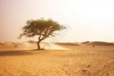 沙漠与沙尘暴图片