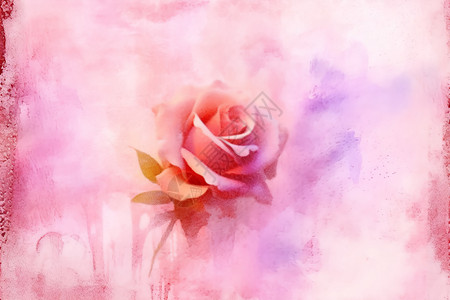 粉色渐变玫瑰粉色水彩渲染背景和玫瑰插画