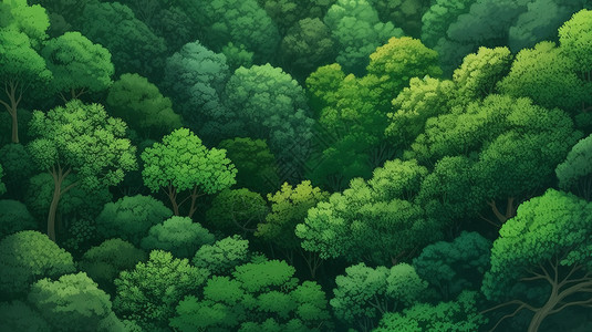茂盛的森林背景图片