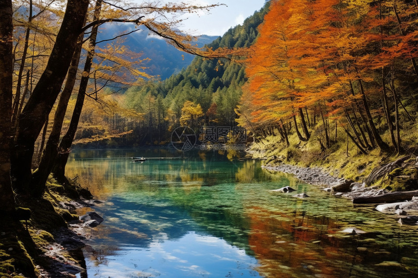 秋天的湖边和风景图片