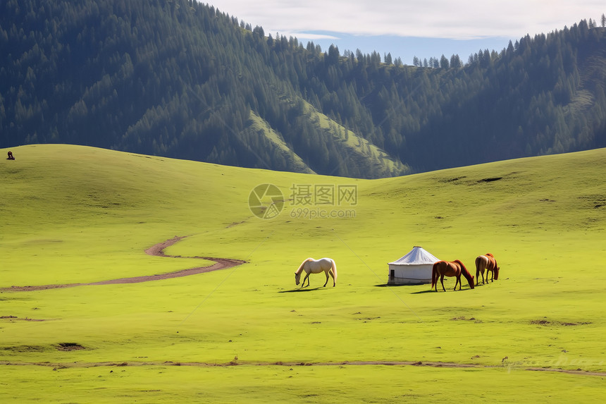 草原上的蒙古包和两只马图片