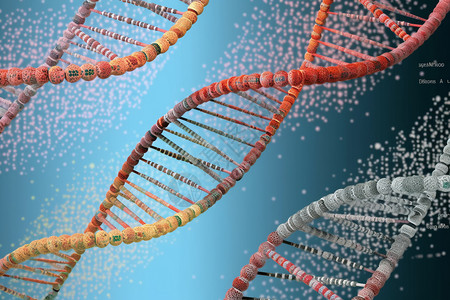 DNA结构组织背景图片
