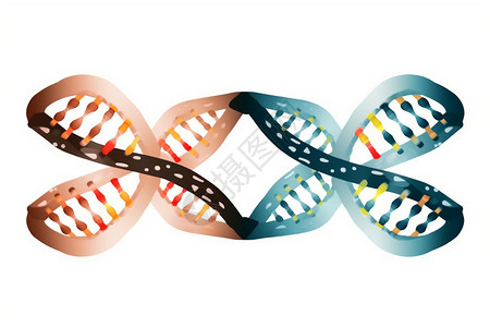 DNA实验图片
