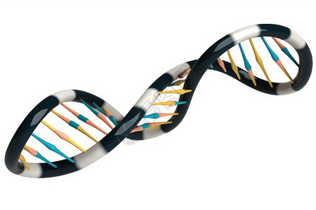 健康的DNA背景图片