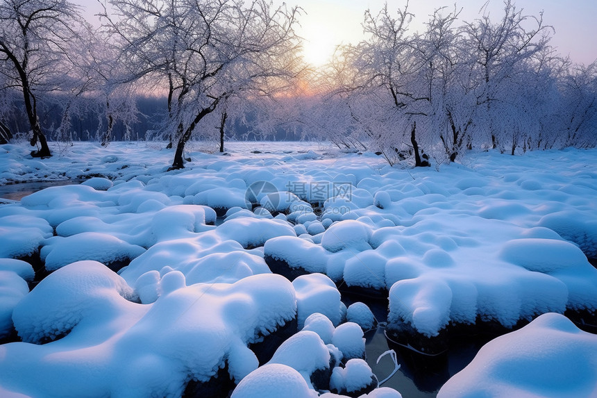 极地雪景图片