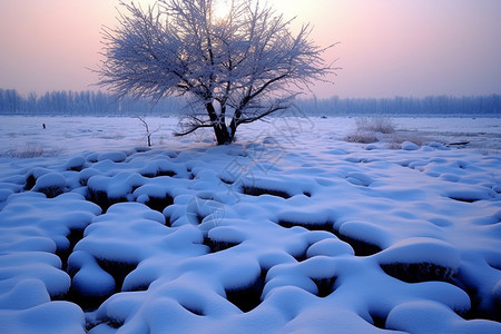 冬天的美景图片