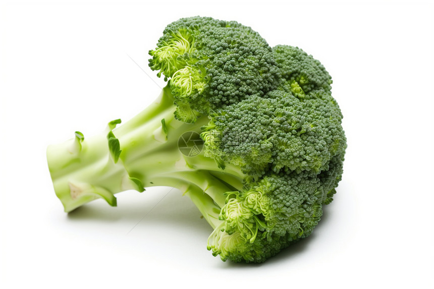 营养健康绿色蔬菜图片