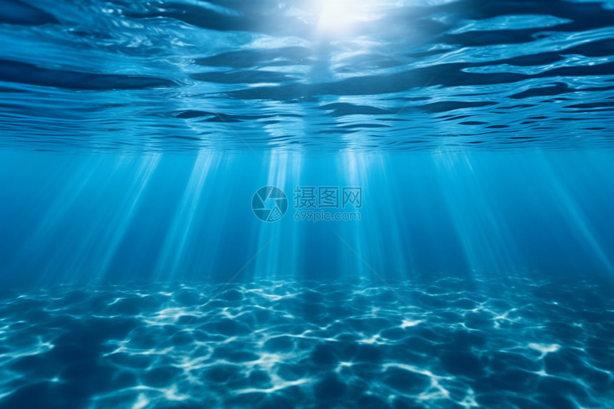 海底世界的阳光图片