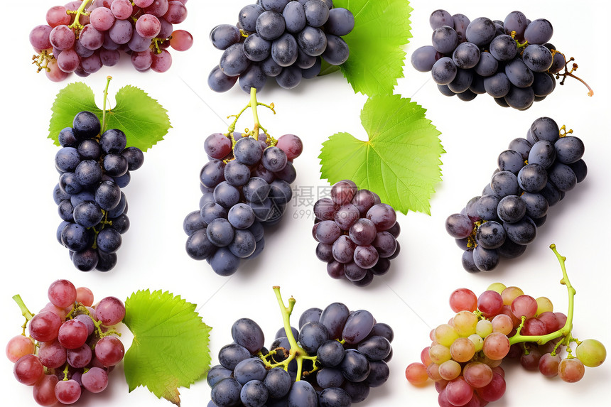 不同品种的新鲜葡萄图片