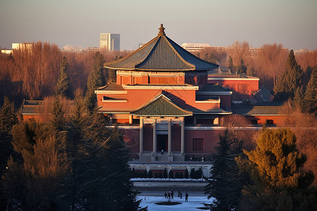 远处的历史古建筑图片