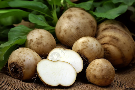 白附子块茎新鲜的食材土豆背景