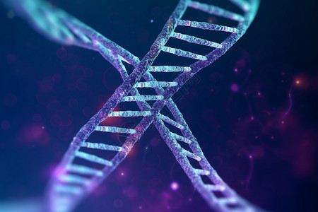 dna遗传学遗传基因模板下载dna基因工程设计图片