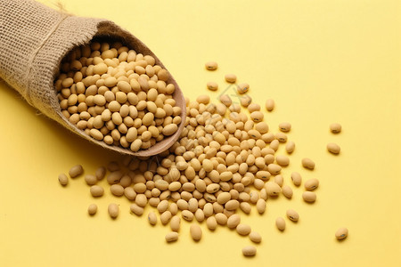 农产品黄豆背景图片