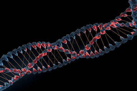 螺旋形dna链的3D概念图图片