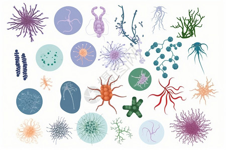 花载体病毒细菌卡通插图插画