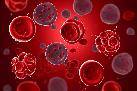 生物体内血细胞背景图片