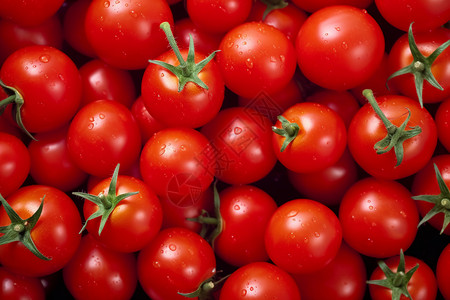 新鲜西红柿背景图片