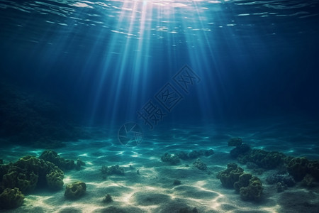 清澈透明的海洋图片
