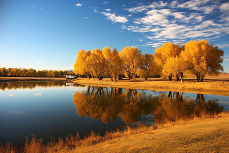 金黄的树和湖景图片