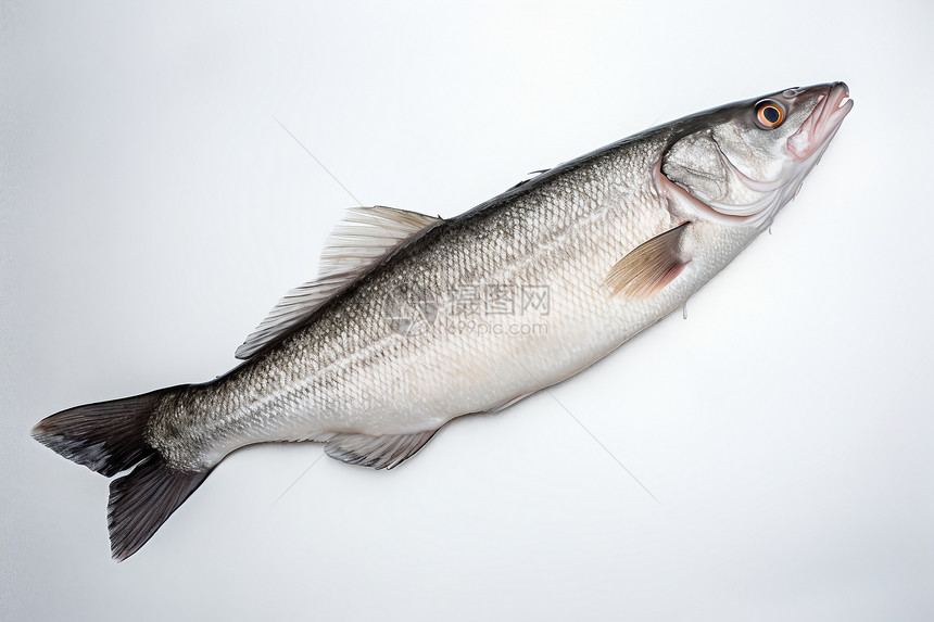 营养的鳕鱼图片