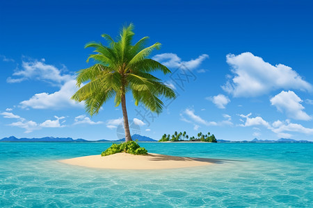大海沙滩椰树风景图片
