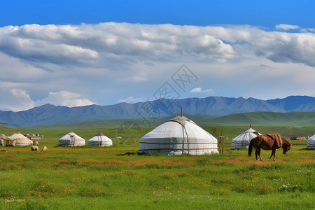 蓝天下草原上的蒙古包和骏马图片