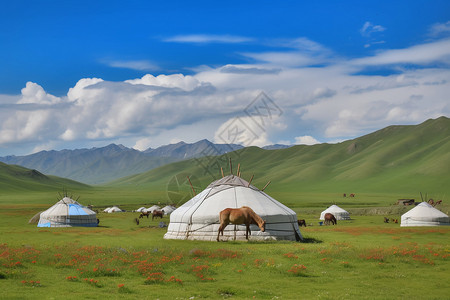 草原上的蒙古包和骏马图片