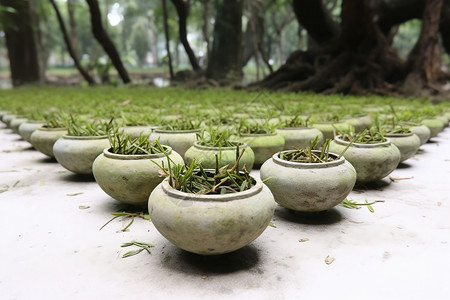 信阳百花园中国茶文化中式茶道背景