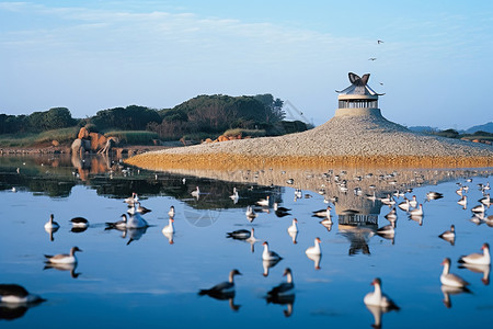 北戴河湿地北戴河鸽子窝自然景观背景