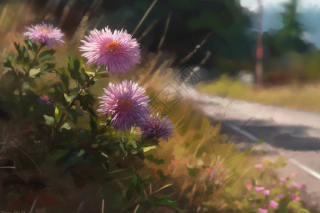 路边生长的野花背景图片