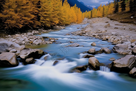 秋天的树林河流美景图片