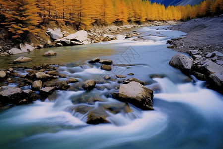 秋天湍急的河流图片