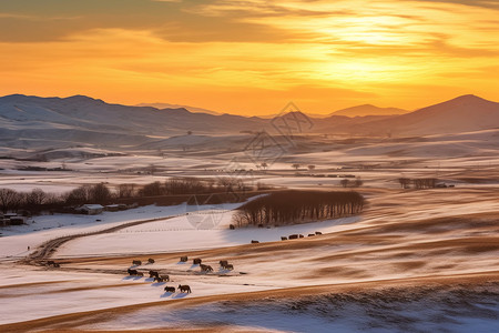 远山雪落日下的冬日草原背景