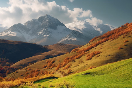 低矮的山坡草地低矮高清图片