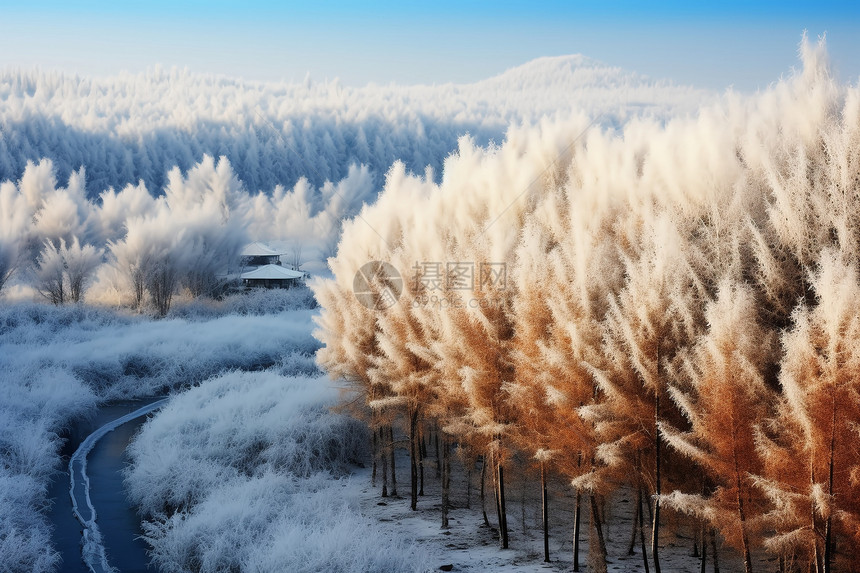 冬季雪景图片