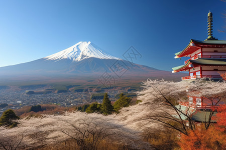 春天的富士山景观图片