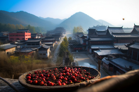 水果屋户外晾晒的浆果背景