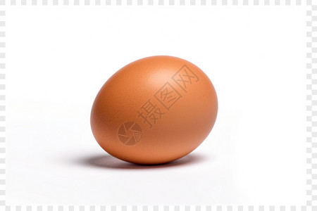 蛋营养每日一个鸡蛋设计图片