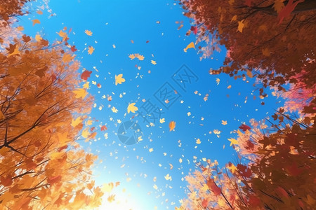 秋天落叶飘落的艺术插图背景图片
